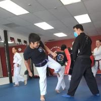Tae Kwon Do ico