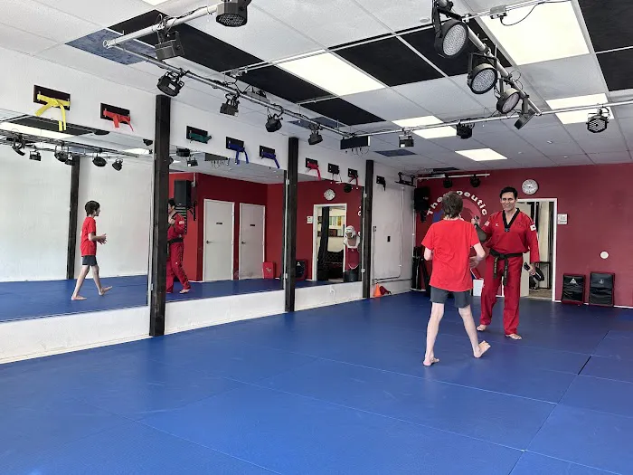 Tae Kwon Do Picture 6