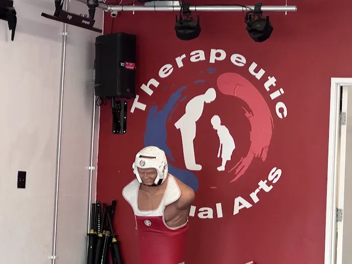 Tae Kwon Do Picture 7