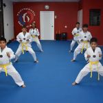 Therapeutic Martial Arts