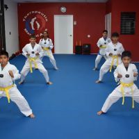 Therapeutic Martial Arts ico