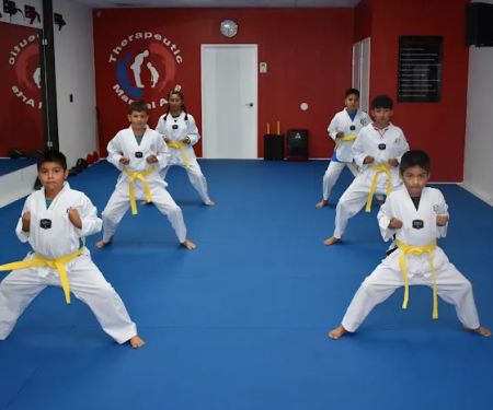 Therapeutic Martial Arts