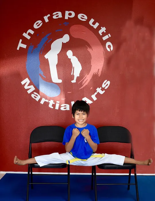 Therapeutic Martial Arts Picture 3