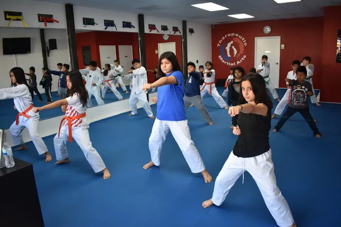 Therapeutic Martial Arts Picture 8