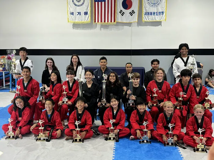 National Taekwondo Academy Picture 4
