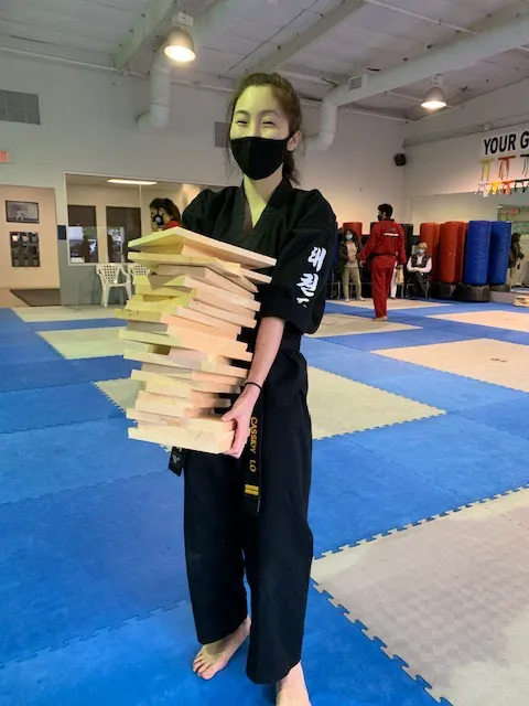 National Taekwondo Academy Picture 6