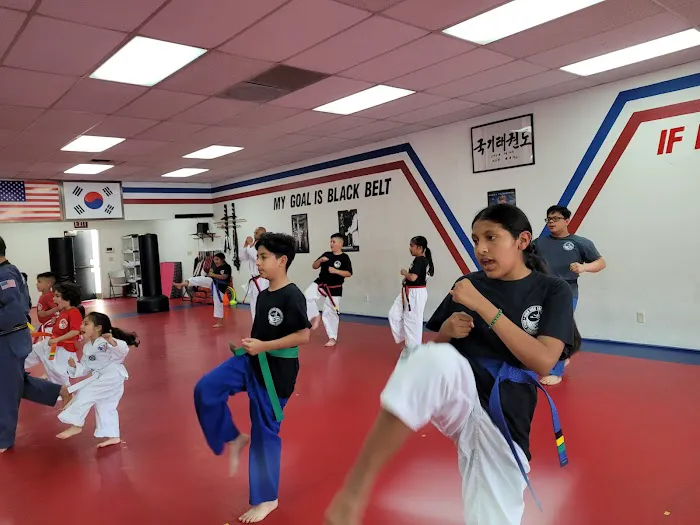 Champion Taekwondo Picture 1