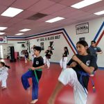 Champion Taekwondo