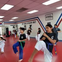 Champion Taekwondo ico