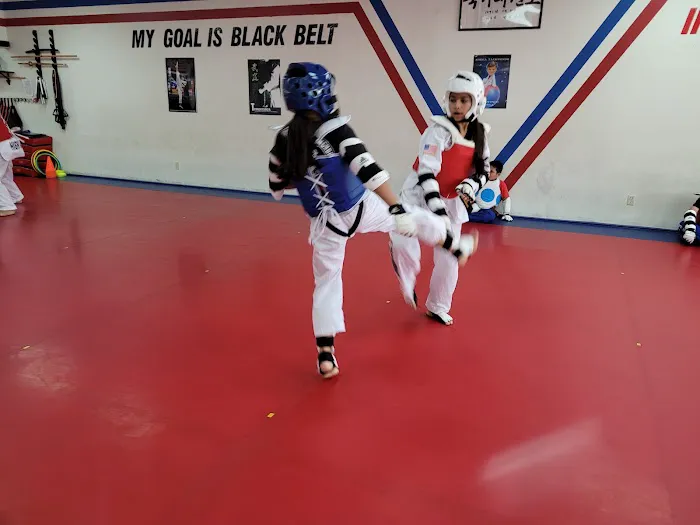 Champion Taekwondo Picture 9