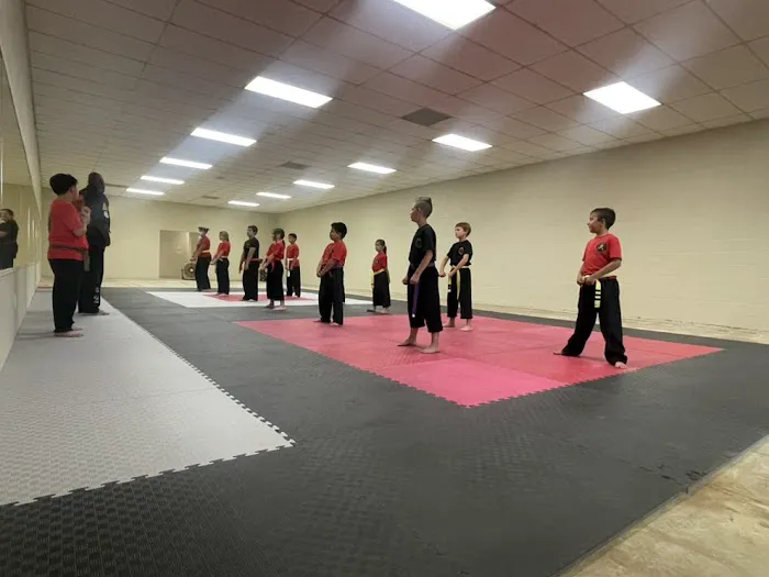 Lowe's Martial Arts Academy Picture 2