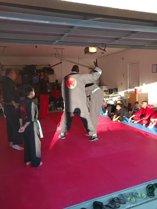 Lowe's Martial Arts Academy Picture 6