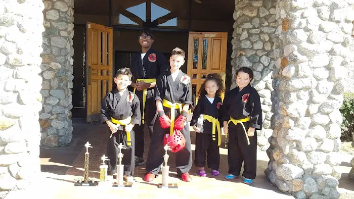 Lowe's Martial Arts Academy Picture 4