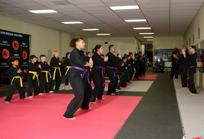 Lowe's Martial Arts Academy Picture 3
