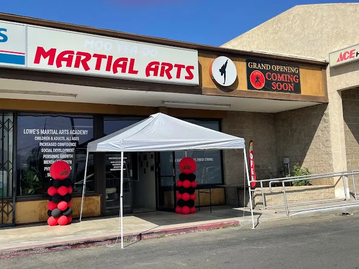 Lowe's Martial Arts Academy Picture 9