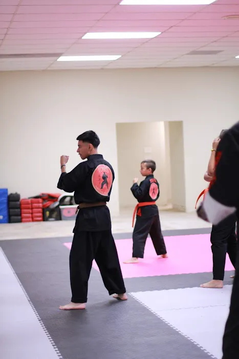 Lowe's Martial Arts Academy Picture 8