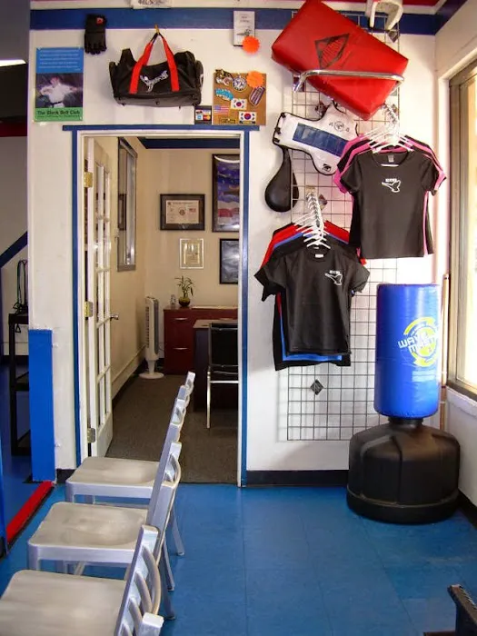 Kicks Tae Kwon Do Riverside Picture 2