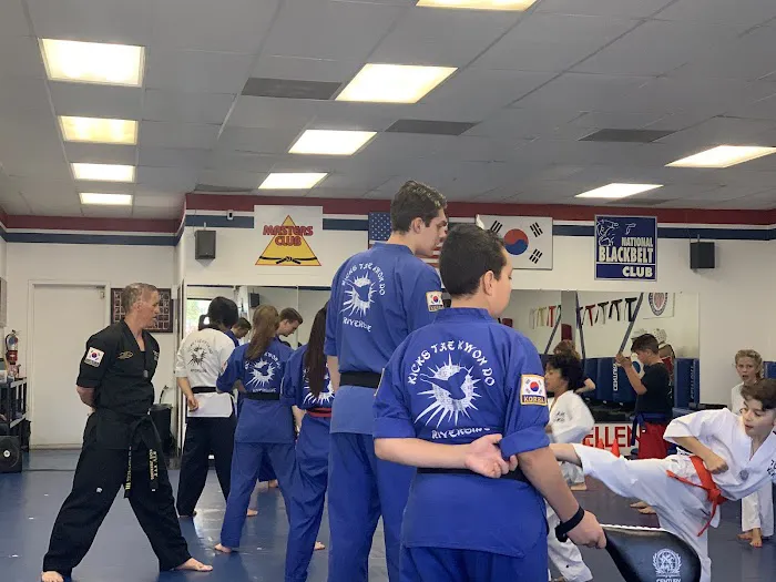 Kicks Tae Kwon Do Riverside Picture 10