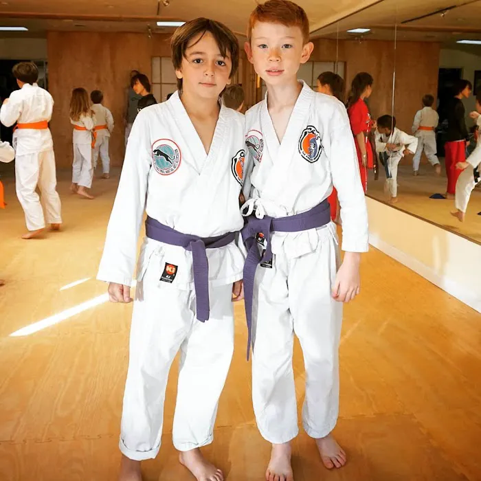 Cho's Academy - Martial Arts & Self Defense Picture 8