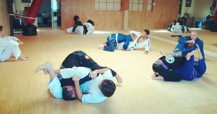 Cho's Academy - Martial Arts & Self Defense Picture 6