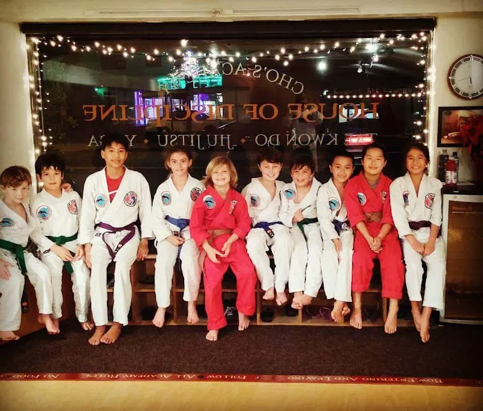 Cho's Academy - Martial Arts & Self Defense Picture 7