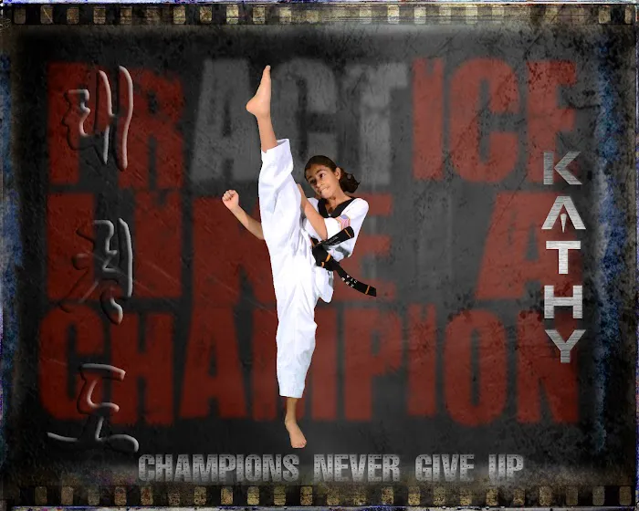 Galaxy martial arts Picture 2