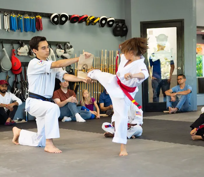 Galaxy martial arts Picture 5