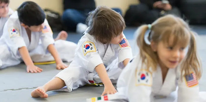 Galaxy martial arts Picture 3