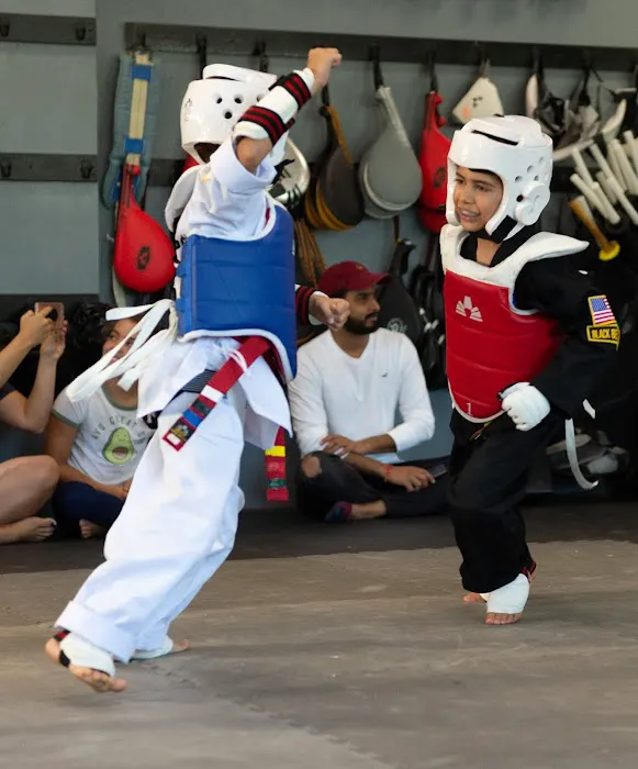 Galaxy martial arts Picture 6