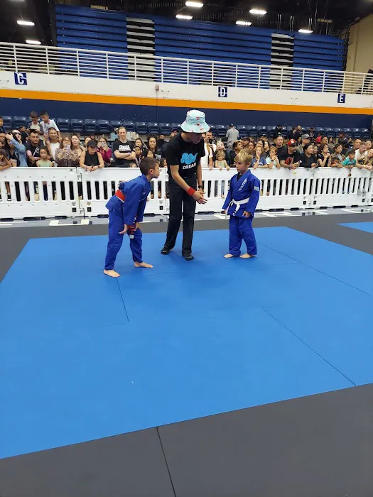 Phenom Brazilian Jiu Jitsu Picture 7