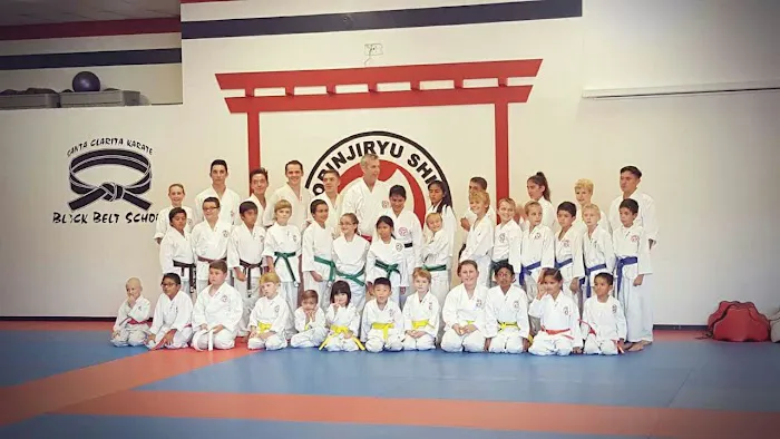 Santa Clarita Karate Picture 5