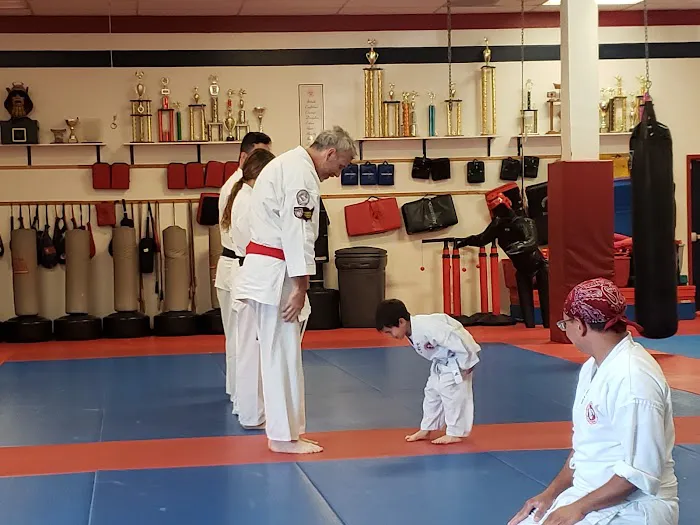 Santa Clarita Karate Picture 10