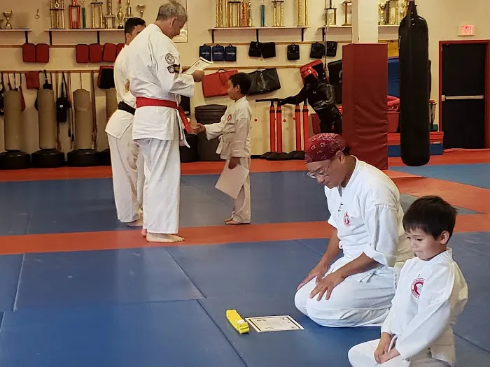 Santa Clarita Karate Picture 7