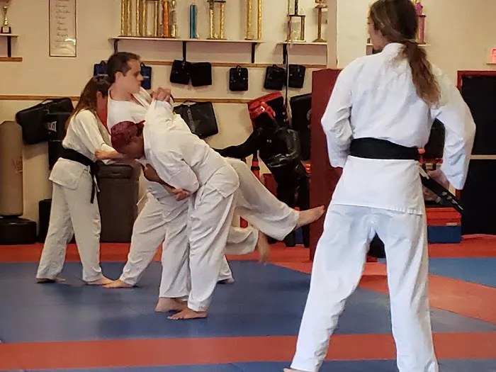 Santa Clarita Karate Picture 9