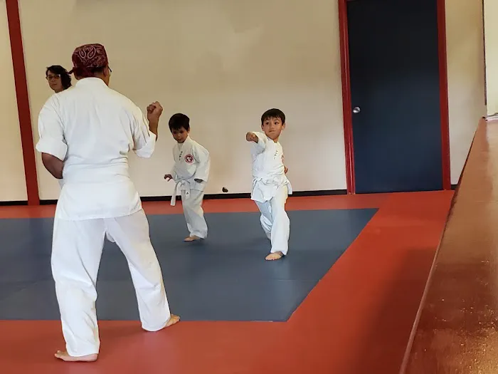 Santa Clarita Karate Picture 8