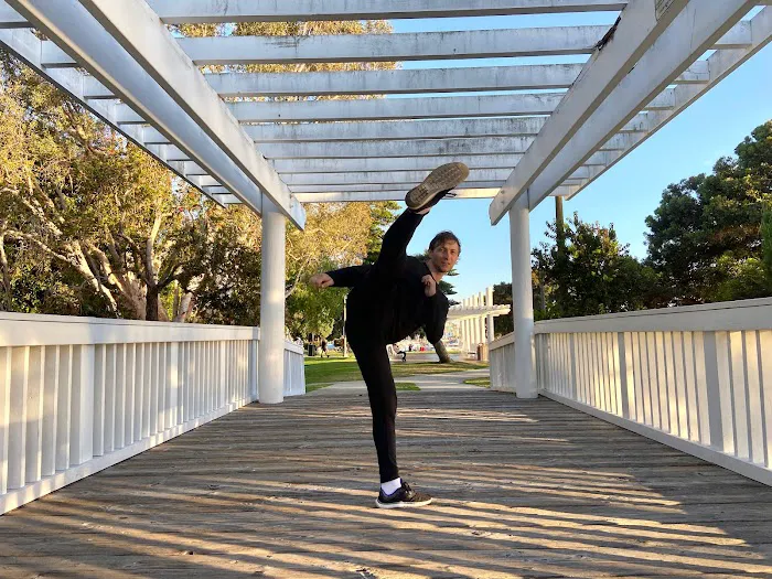 KungFu-School Santa Clarita Picture 1