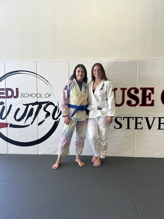 EDJ School of Jiu Jitsu Stevenson Ranch CA Picture 5
