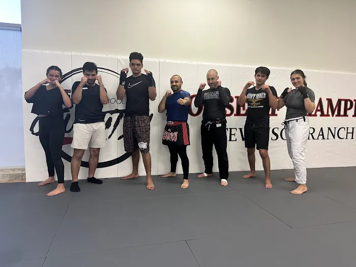 EDJ School of Jiu Jitsu Stevenson Ranch CA Picture 3