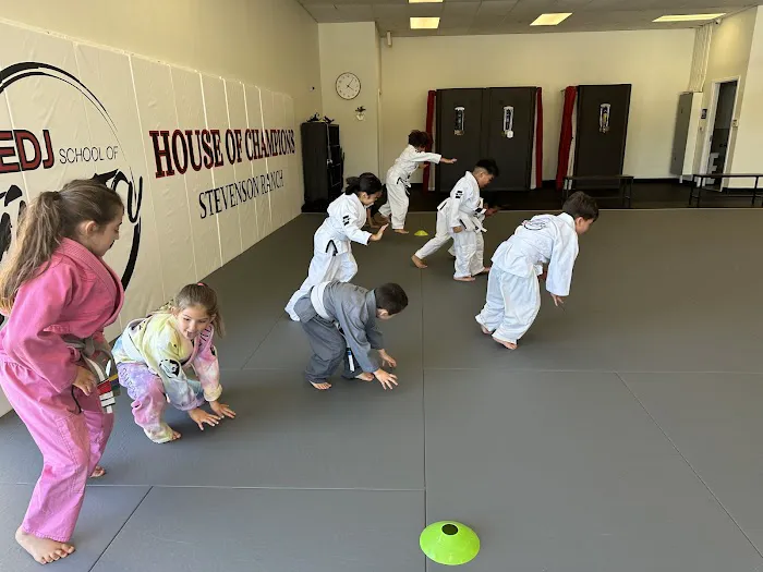 EDJ School of Jiu Jitsu Stevenson Ranch CA Picture 7