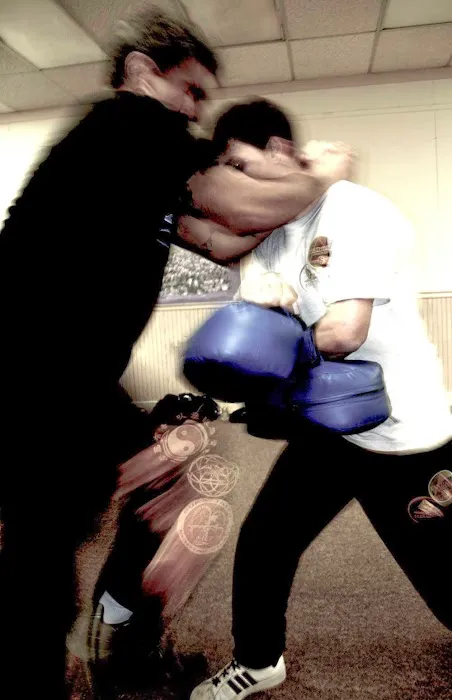 Panthera Fighting Arts Picture 5