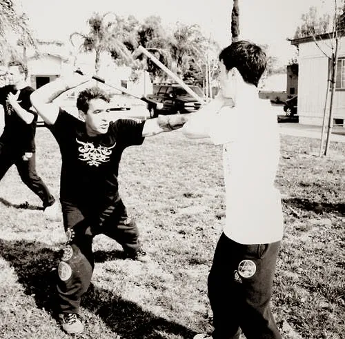 Panthera Fighting Arts Picture 4