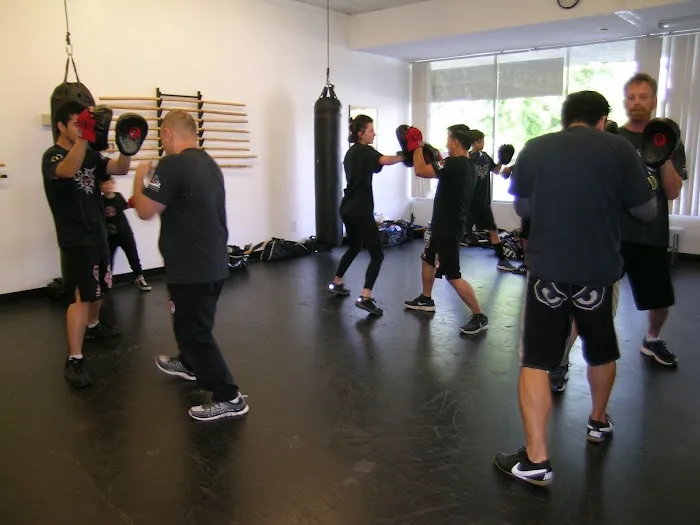 Panthera Fighting Arts Picture 7