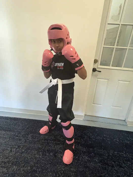 Dragon Mu Sool Picture 5