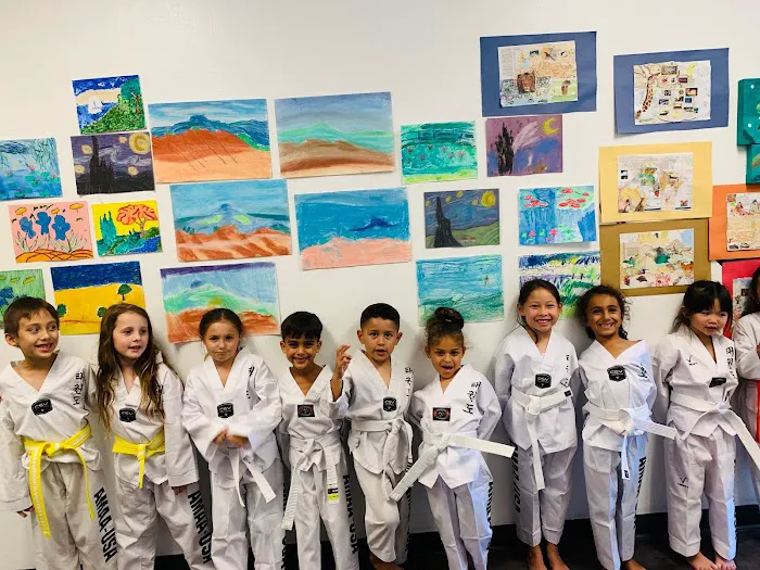 American Martial Arts Academy Picture 1