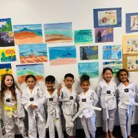 American Martial Arts Academy ico