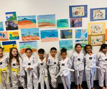 American Martial Arts Academy