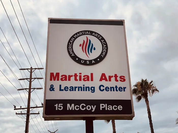 American Martial Arts Academy Picture 9