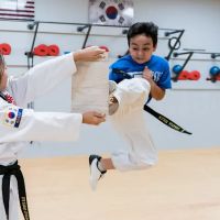 Tae Ryong Taekwondo ico