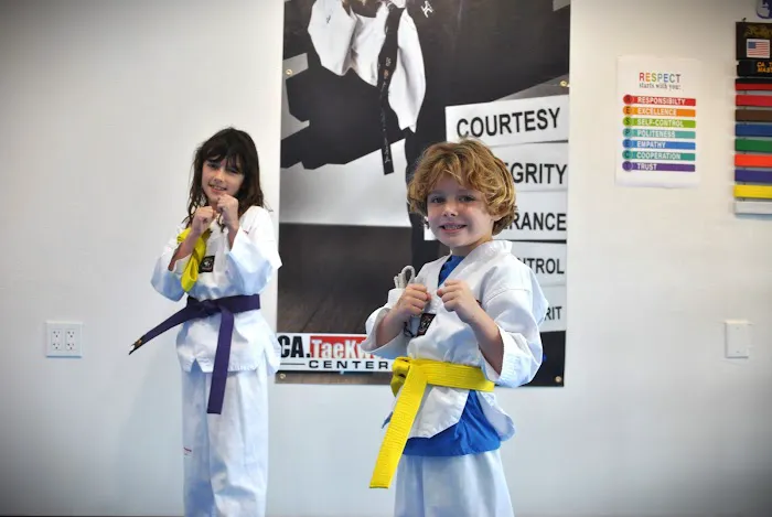 CA. TaeKwonDo / 태권도 / 跆拳道 / テコンドー / тхэквондо Picture 3