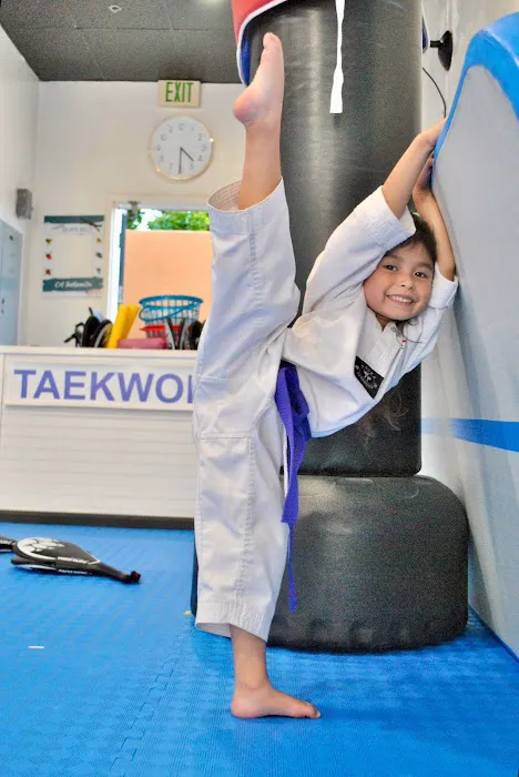 CA. TaeKwonDo / 태권도 / 跆拳道 / テコンドー / тхэквондо Picture 7